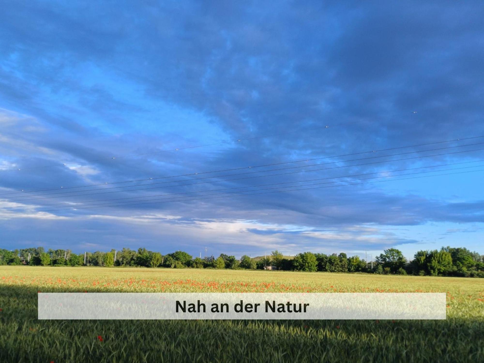 Appartamento Ivy Haus Falkensee Esterno foto