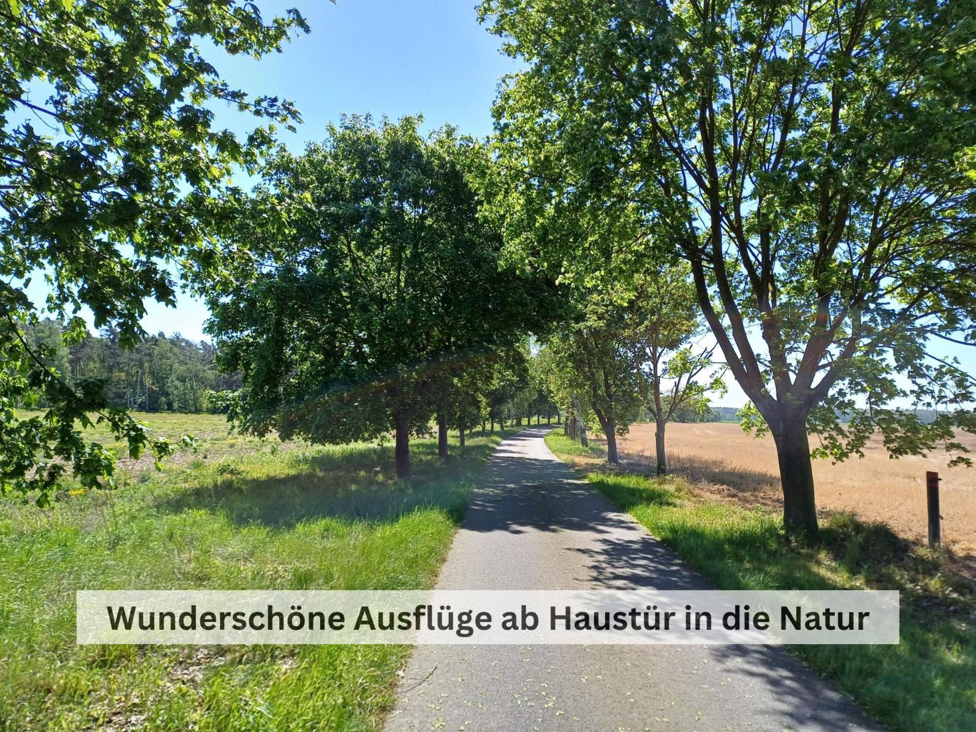 Appartamento Ivy Haus Falkensee Esterno foto